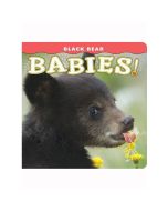 Black Bear Babies