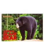 Flipbook, Black Bears