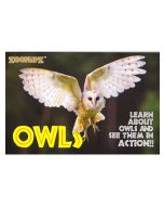 Flipbook, Owls