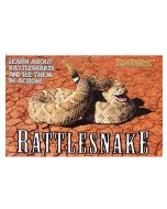 Flipbook, Rattlesnake
