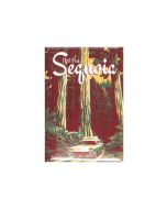 Magnet - Vintage Sequoia Generals Highway