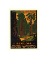 Notecards - WPA Sequoia Set
