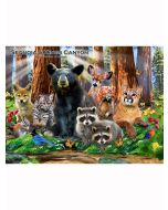 Poster - Sequoia & Kings Canyon Animals in 3D