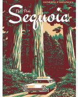 Poster - Vintage Sequoia National Park General's Highway