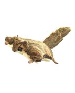 Hand Puppet - Flying Squirrel