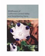 Wildflowers of California's Central Valley