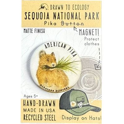 Button Magnet - American Pika