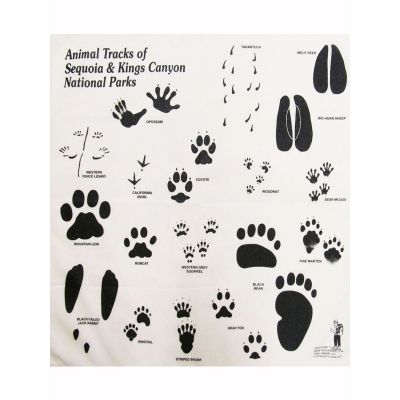 Bandana - Animal Tracks