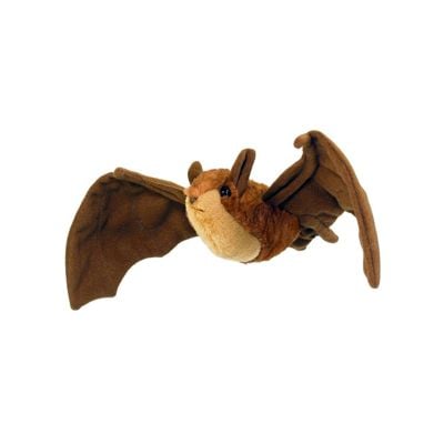 Bat - Little Brown #2