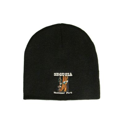 Beanie - SNP, black