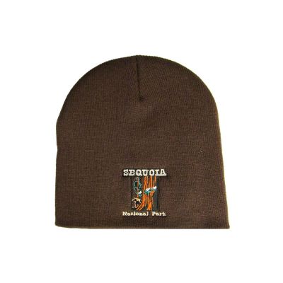 Beanie - SNP, brown