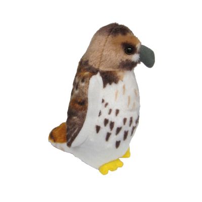 Bird - Red Tailed Hawk