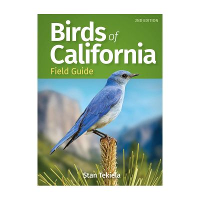 Birds of California Field Guide