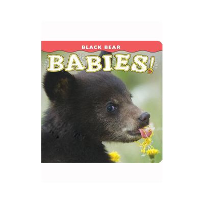 Black Bear Babies
