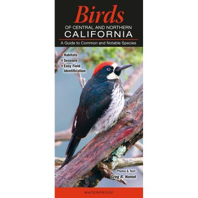 Guide to Birds of Central & Northern California