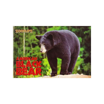 Flipbook, Black Bears