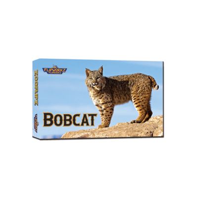 Flipbook, Bobcat