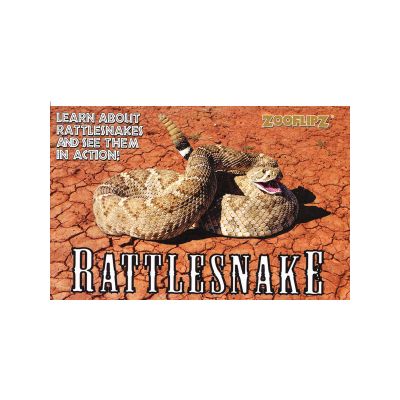Flipbook, Rattlesnake