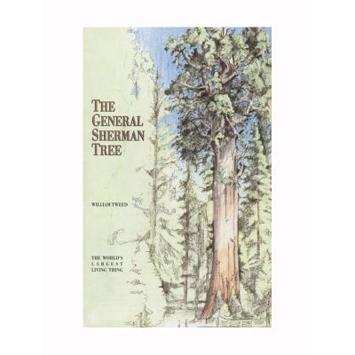 General Sherman Tree