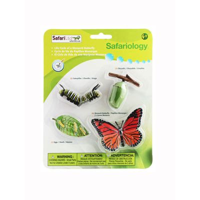 Life Cycle of a Butterfly Set