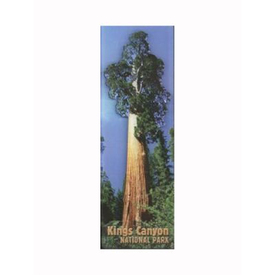 Magnet - Kings Canyon National Park 3D