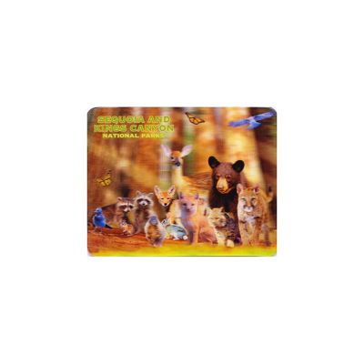 Magnet - Animals of Sequoia & Kings Canyon 3D