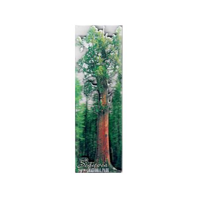 Magnet - Sequoia National Park 3D