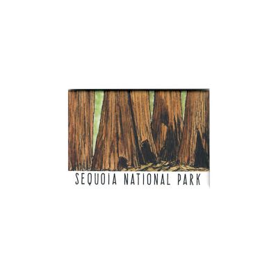 Magnet - Sequoia Sketch