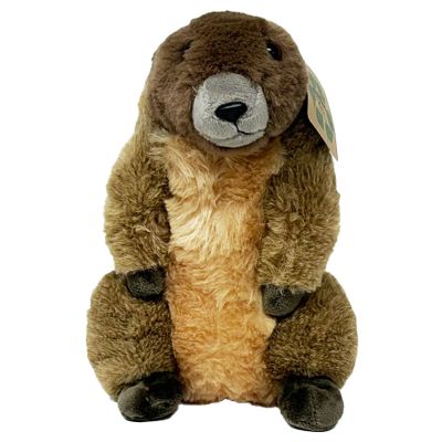 Marmot 9"