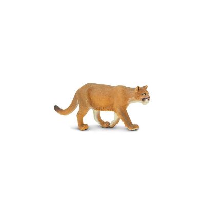 Mountain Lion, Plastic