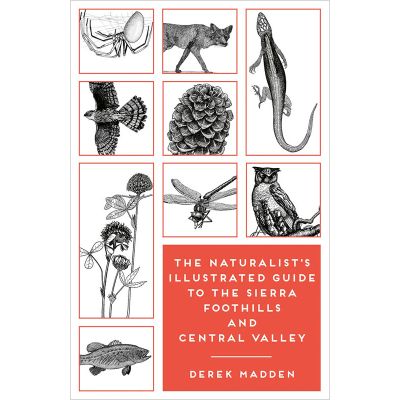 Naturalist's Guide to Sierra Foothills & Central Valley