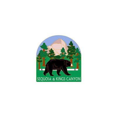 Pin - Black Bear Sliding