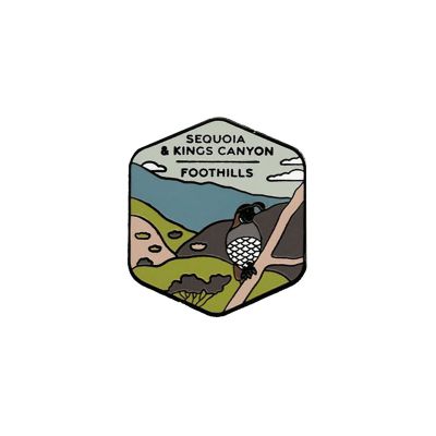 Pin - Foothills Quail