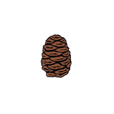 Pin - Sequoia Cone