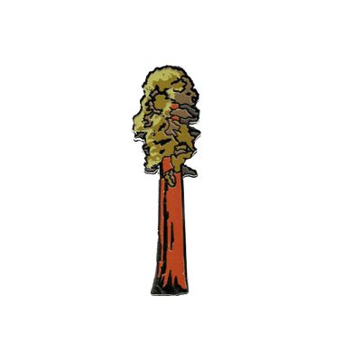 Pin - Sequoia Tree