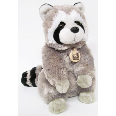 Raccoon 12"