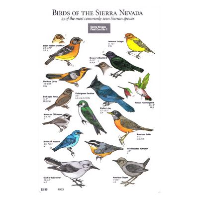 Sierra Nevada Field Card - Birds