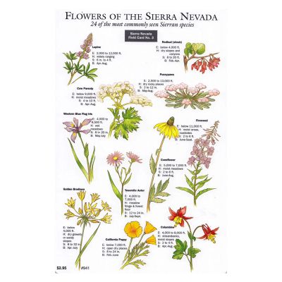 Sierra Nevada Field Card - Wildflowers