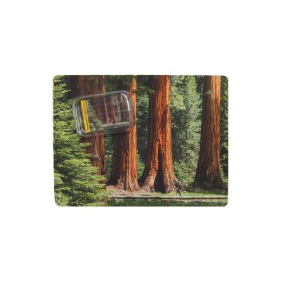 Smart Phone Cleaning Cloth w/Giant Sequoias