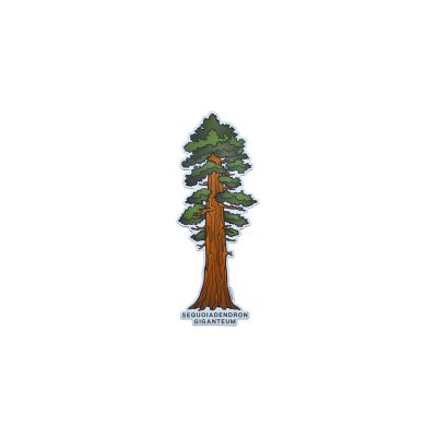 Sticker - Sequoia 3"