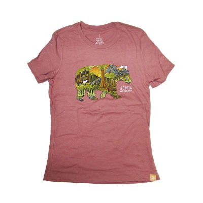 T-Shirt, Color Bear Sketch, Women