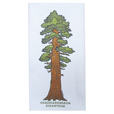 Tea Towel - Sequoia Tree