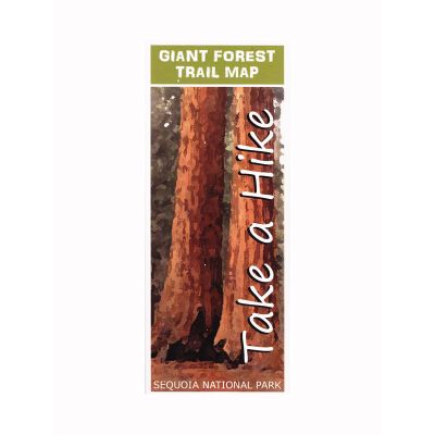 Trails of Giant Forest