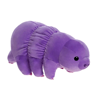 Water Bear/Tardigrade