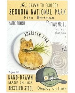 Button Magnet - American Pika