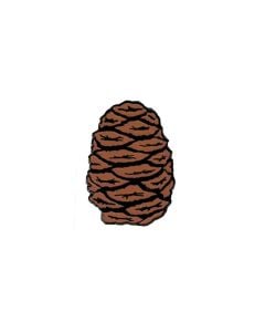 Pin - Sequoia Cone