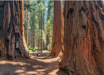 hike-and-heal